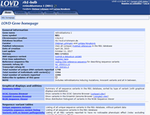 Tablet Screenshot of d-lohmann.de